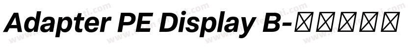 Adapter PE Display B字体转换